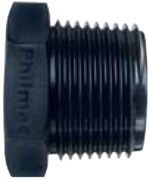 Philmac Poly Plug End BSP 2" - Click Image to Close